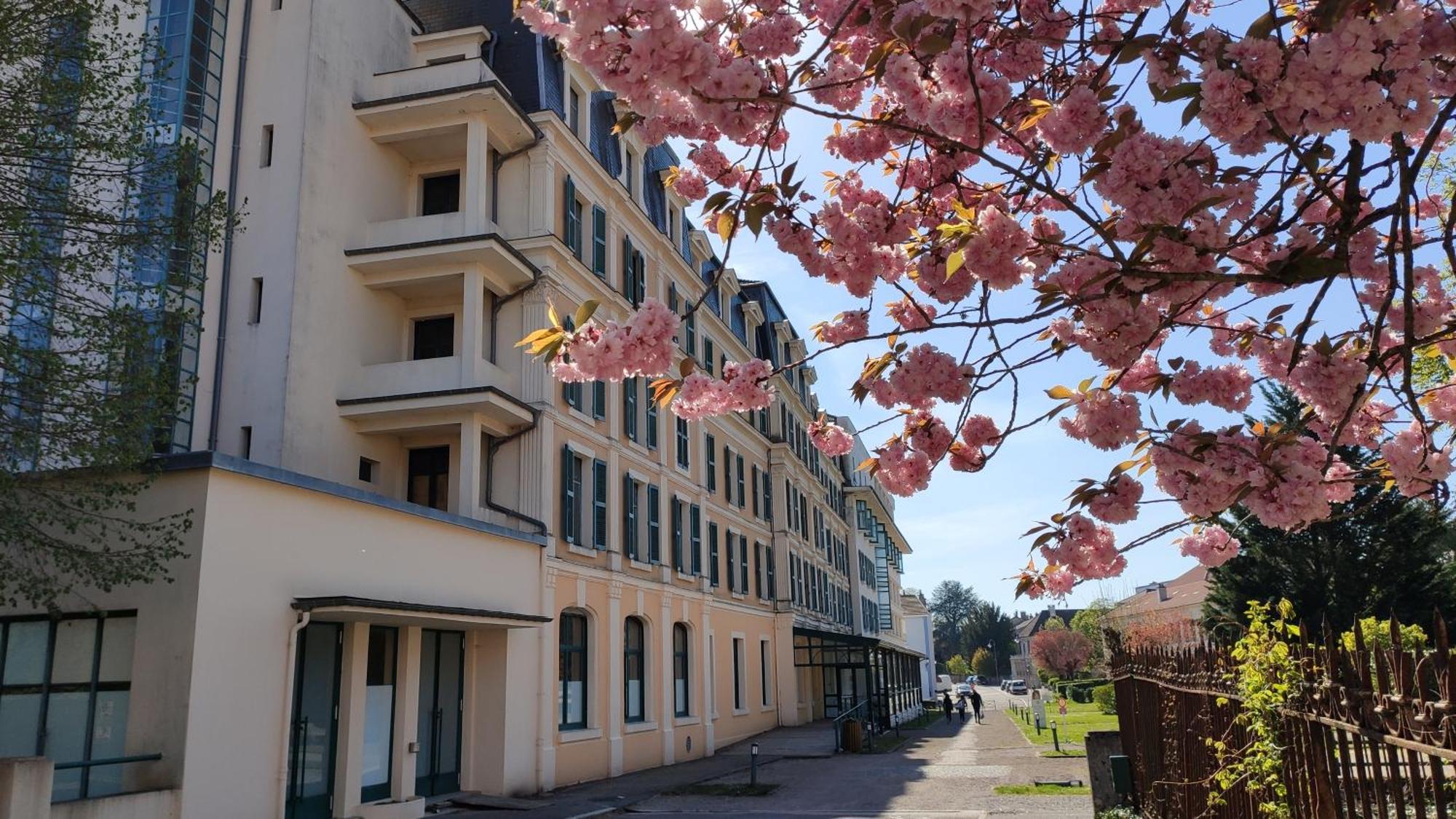 Confort Et Standing A Bains-Les-Bains Apartment Exterior photo